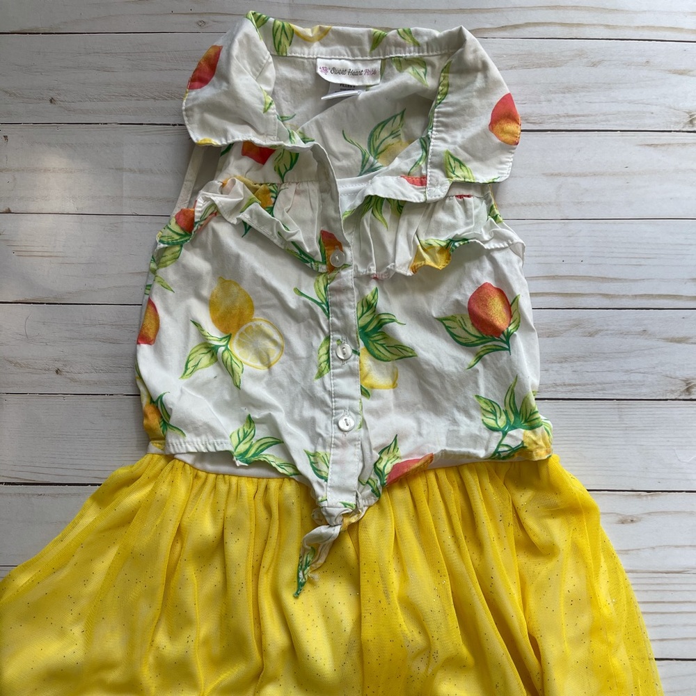 Little Girls dress
